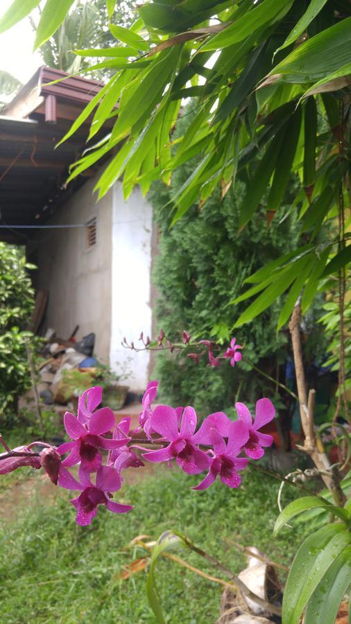 Ananda Home Stay And Restaurant Tangalle Exterior photo