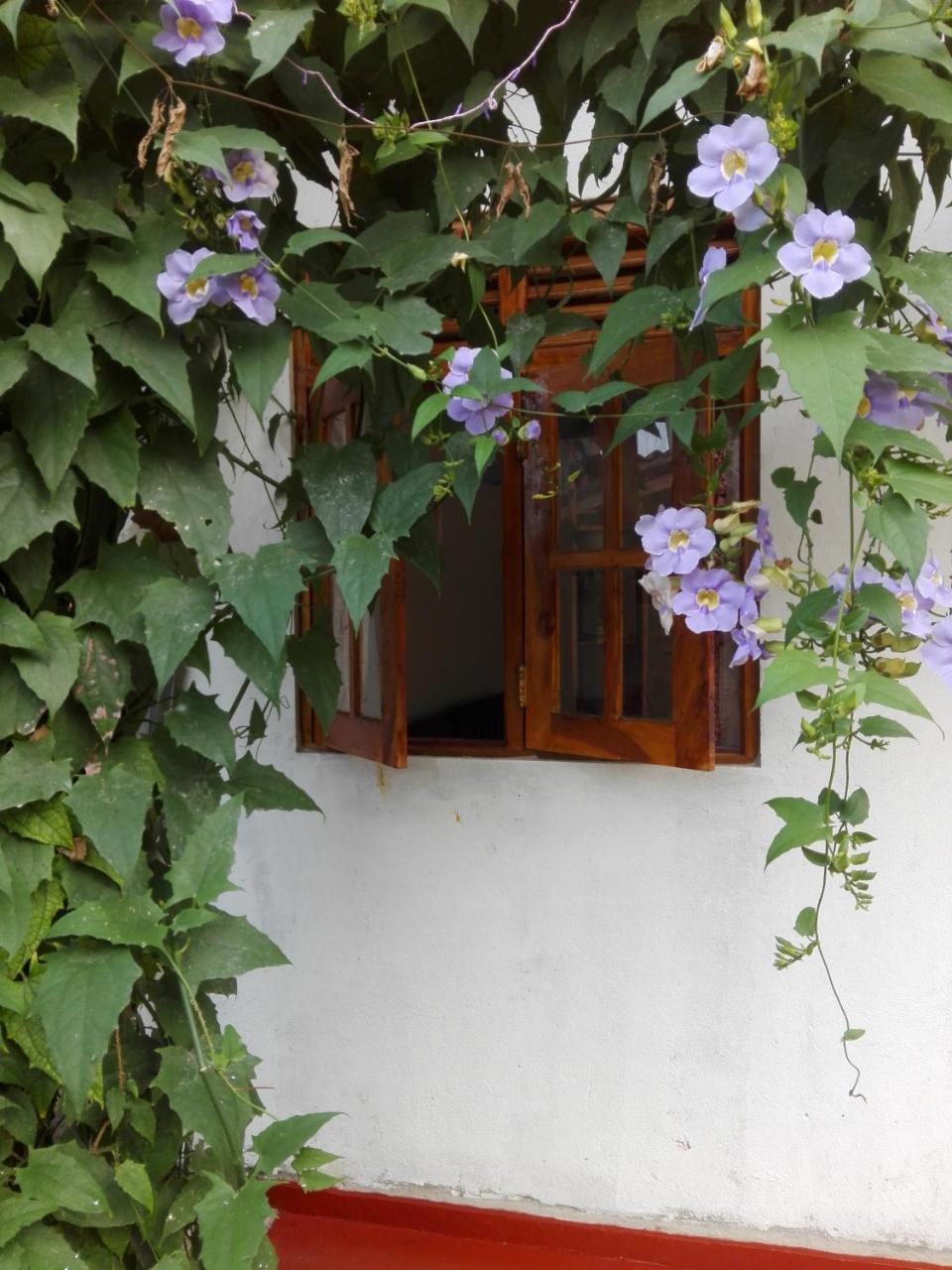 Ananda Home Stay And Restaurant Tangalle Exterior photo